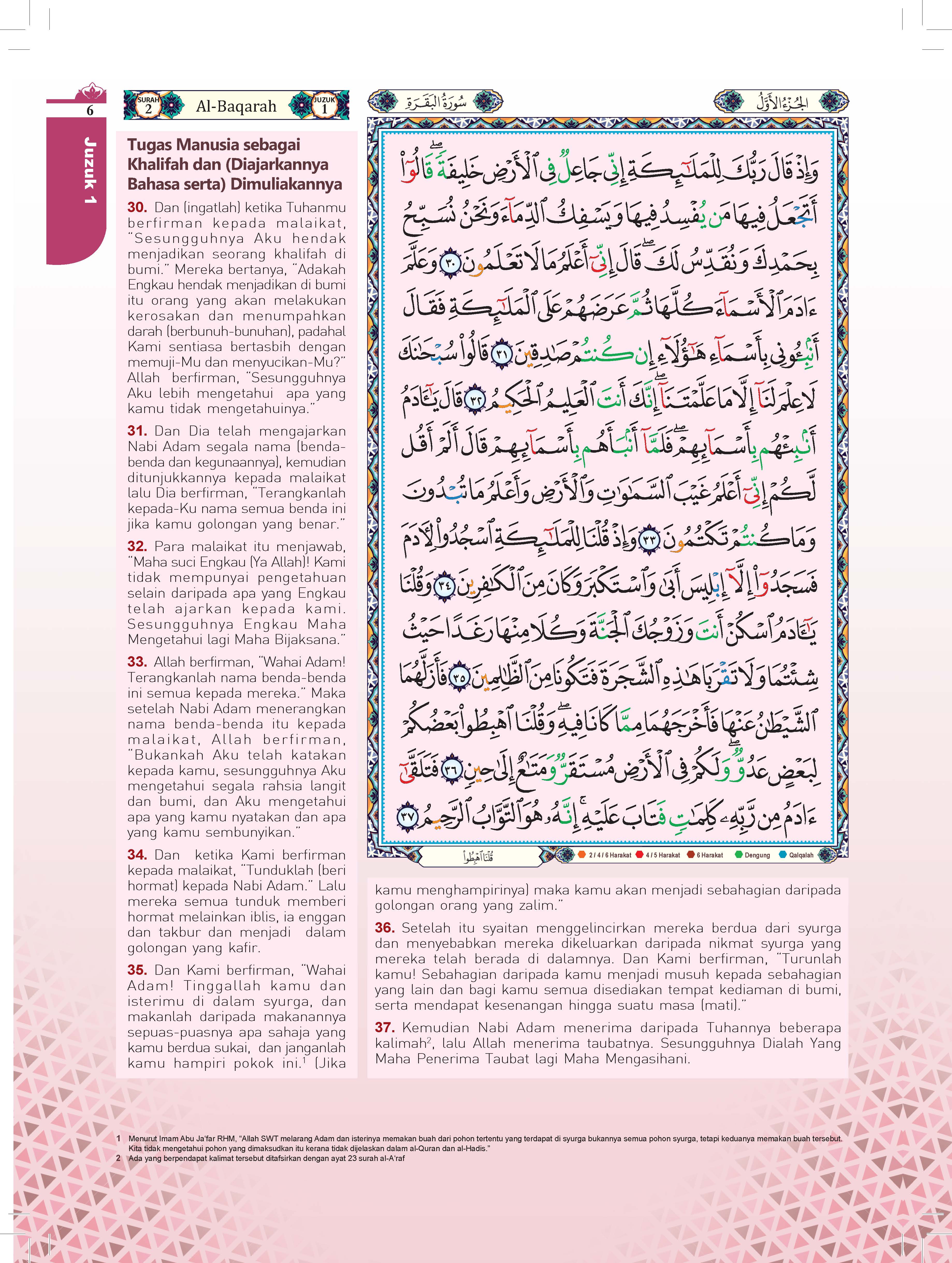 Al-Quran Al-Karim Tajwid & Terjemahan Tematik Dengan Panduan Warna Bertema (A4) - (TBAQ1040A)