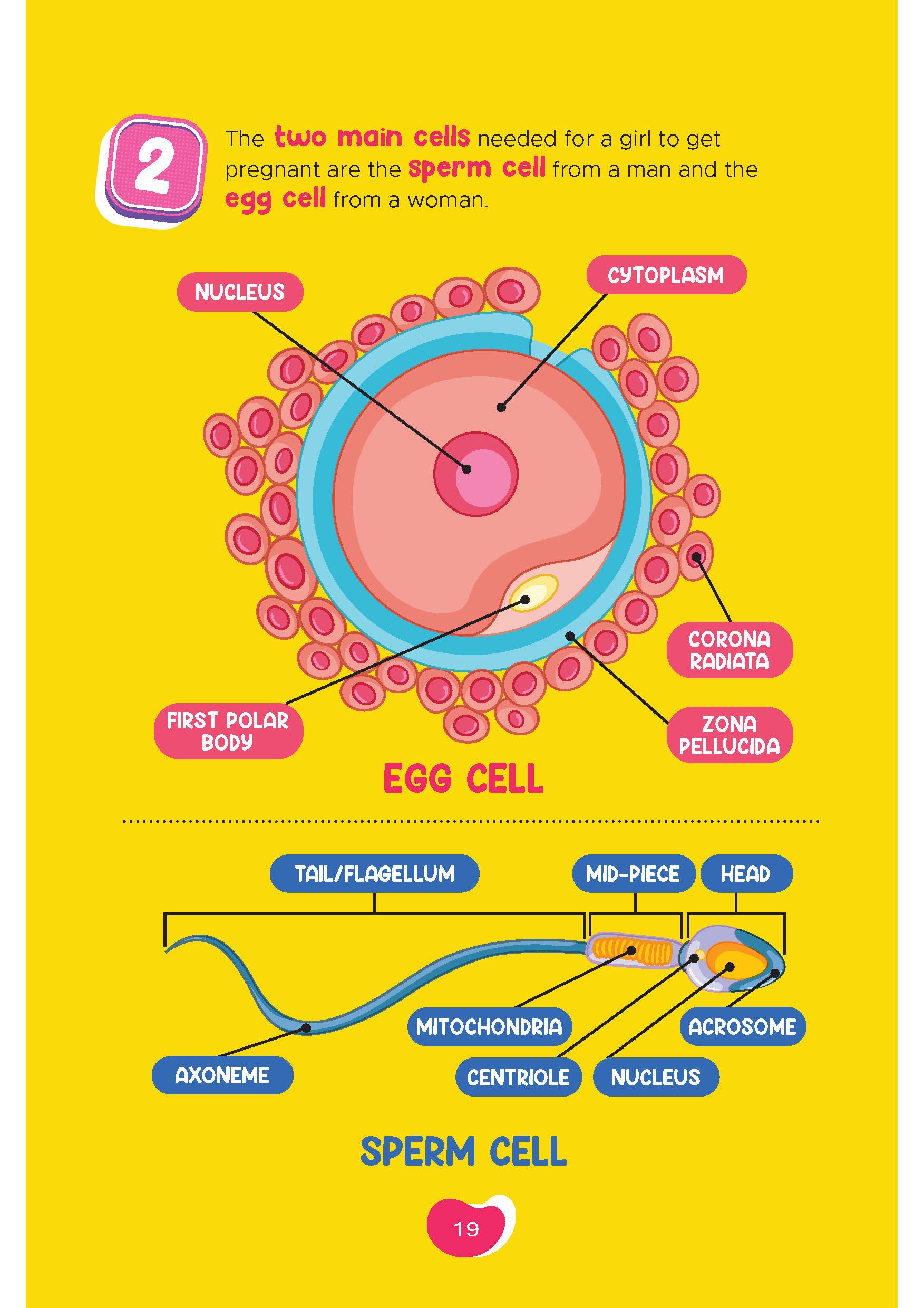 My First Period - (TBBK1599)