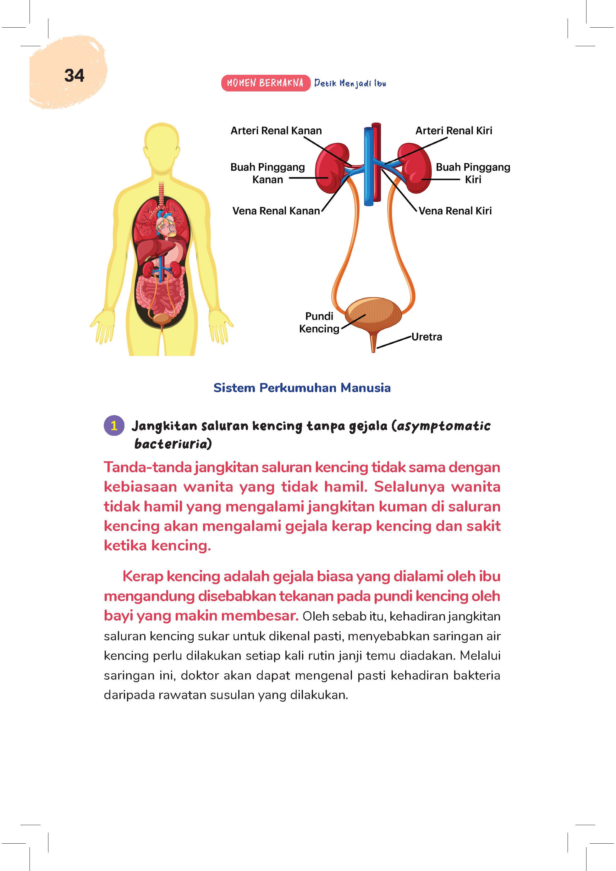 Momen Bermakna Detik Menjadi Ibu - (TBBK1611)