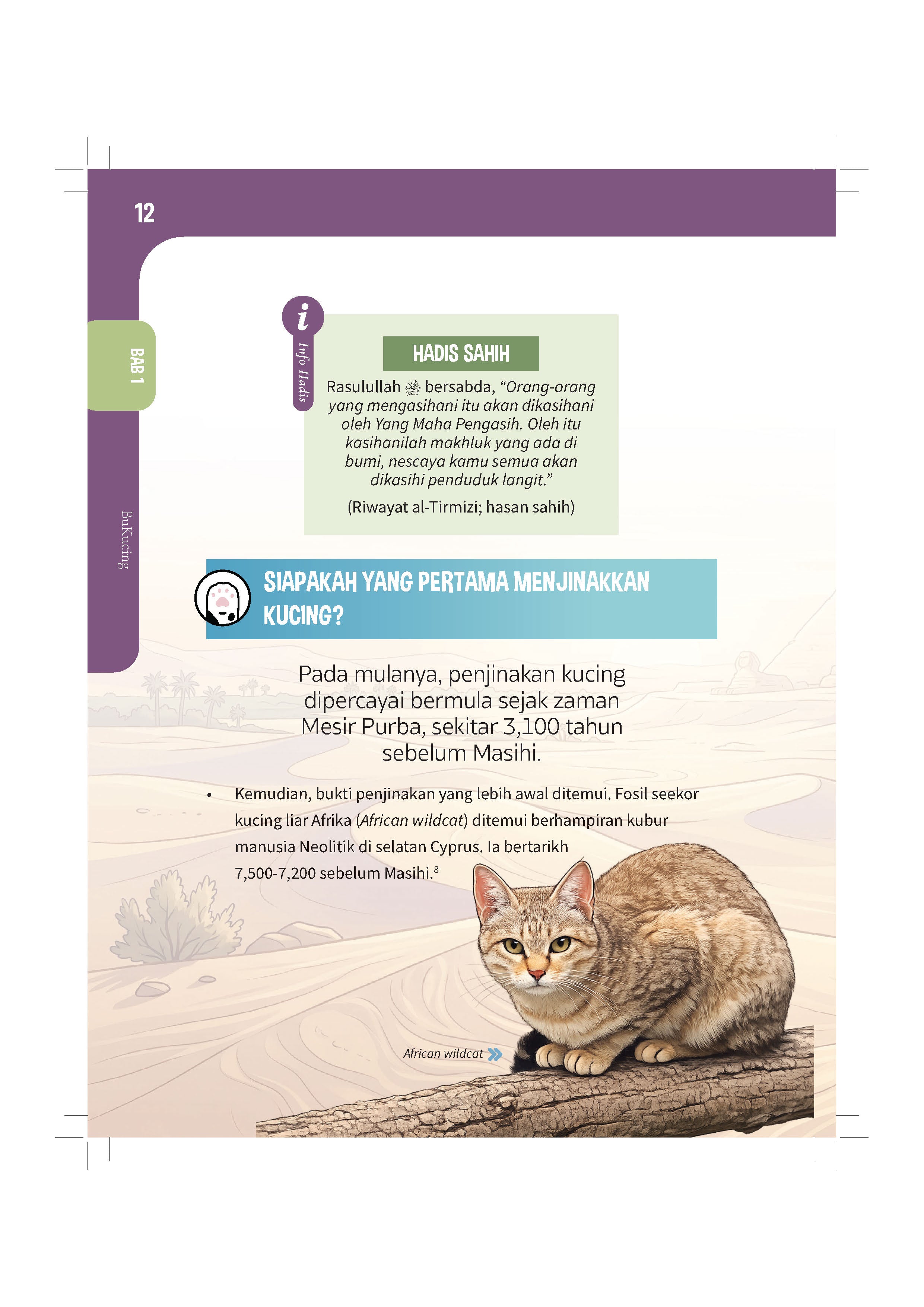 Bukucing - (TBBK1626)