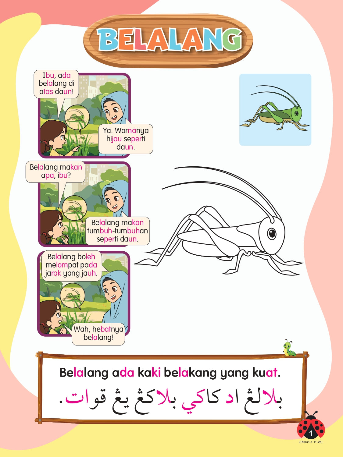 Siri Gen Pintar : Syoknya Tahu Serangga - (TBKIDS0034)