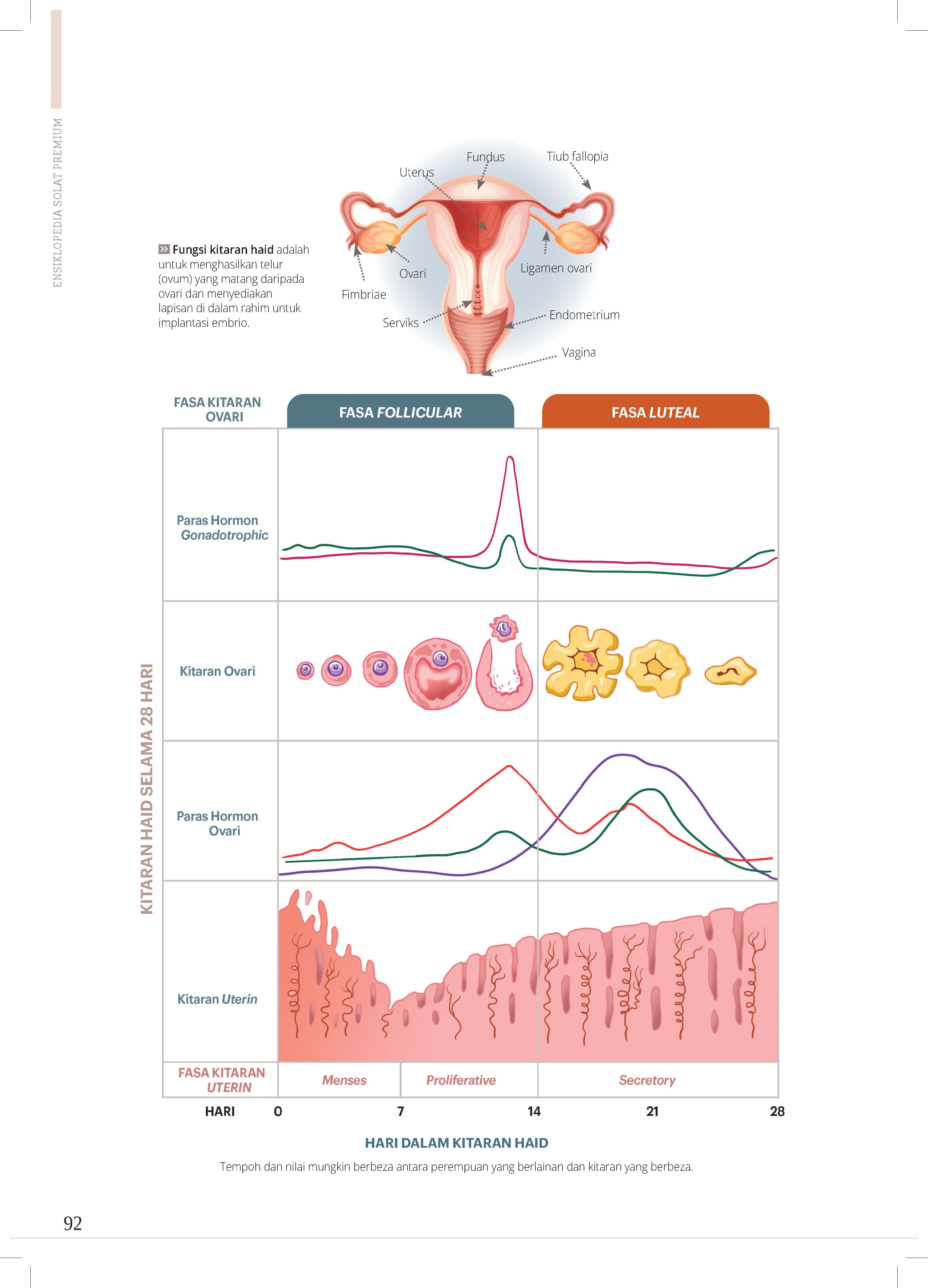 Ensiklopedia Solat Premium - (TBBK1520)