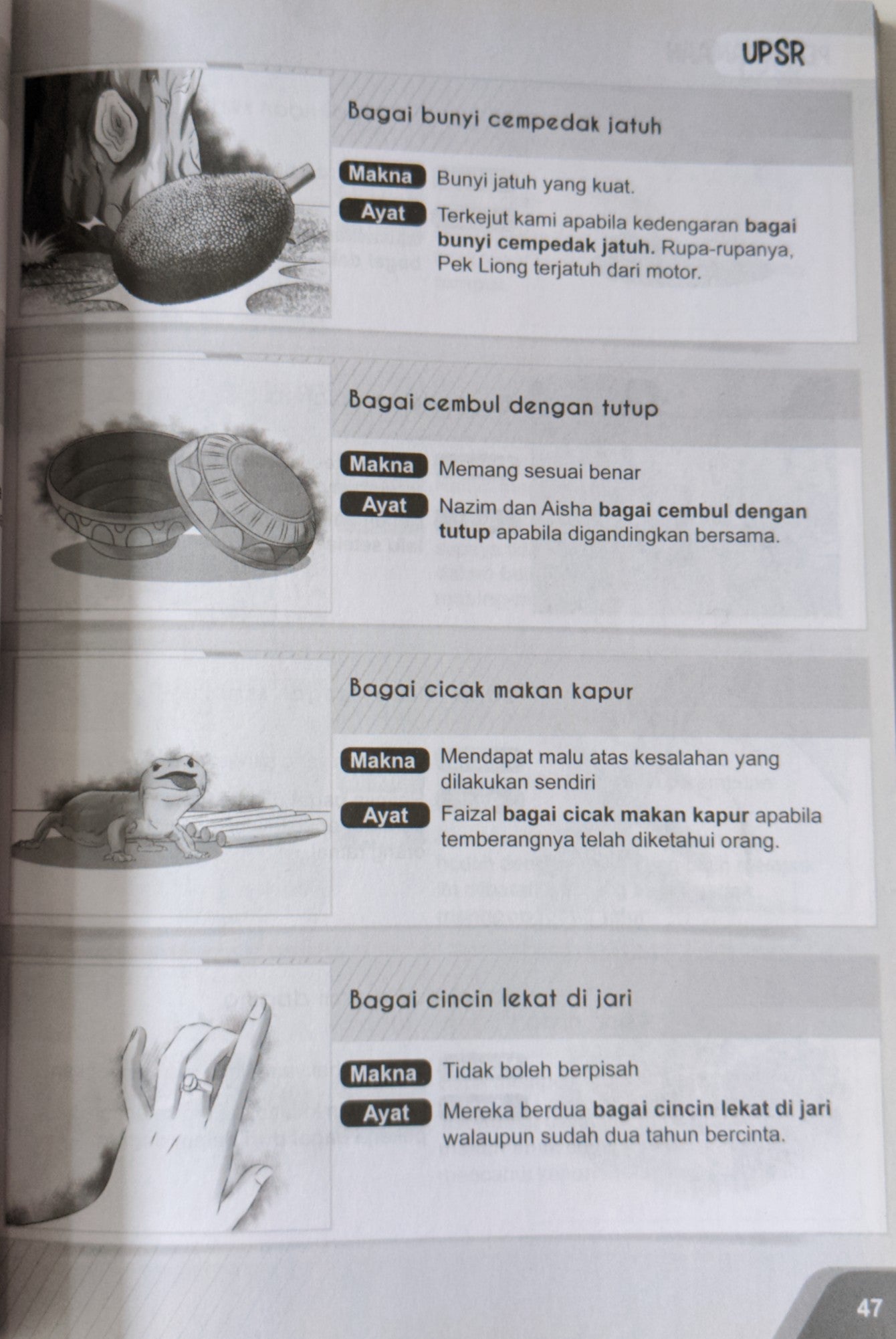 Kamus Peribahasa - (TBBS1125)