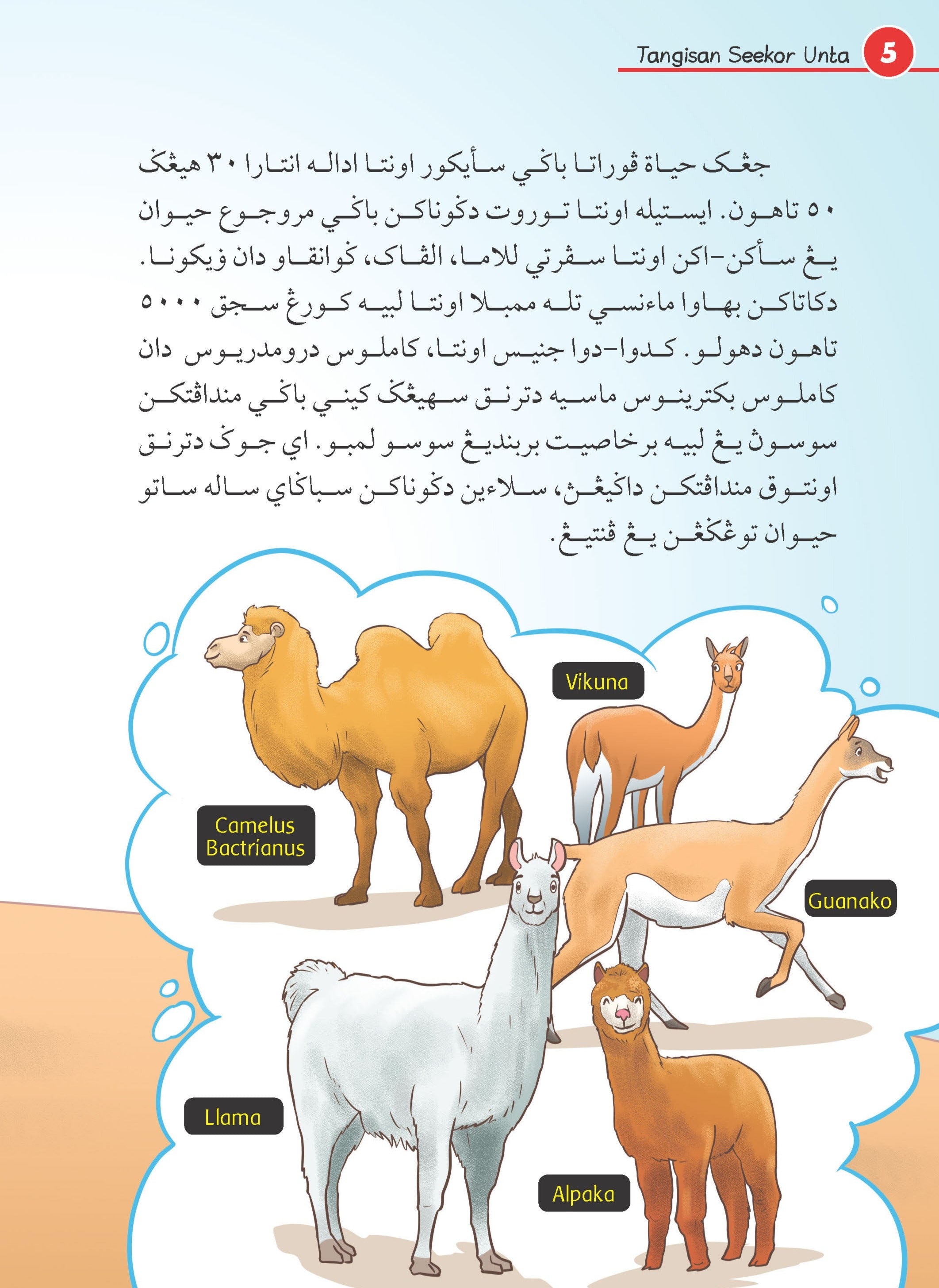 Haiwan Madinah Dalam Al-Quran Dan Hadis - (TBBK1523)