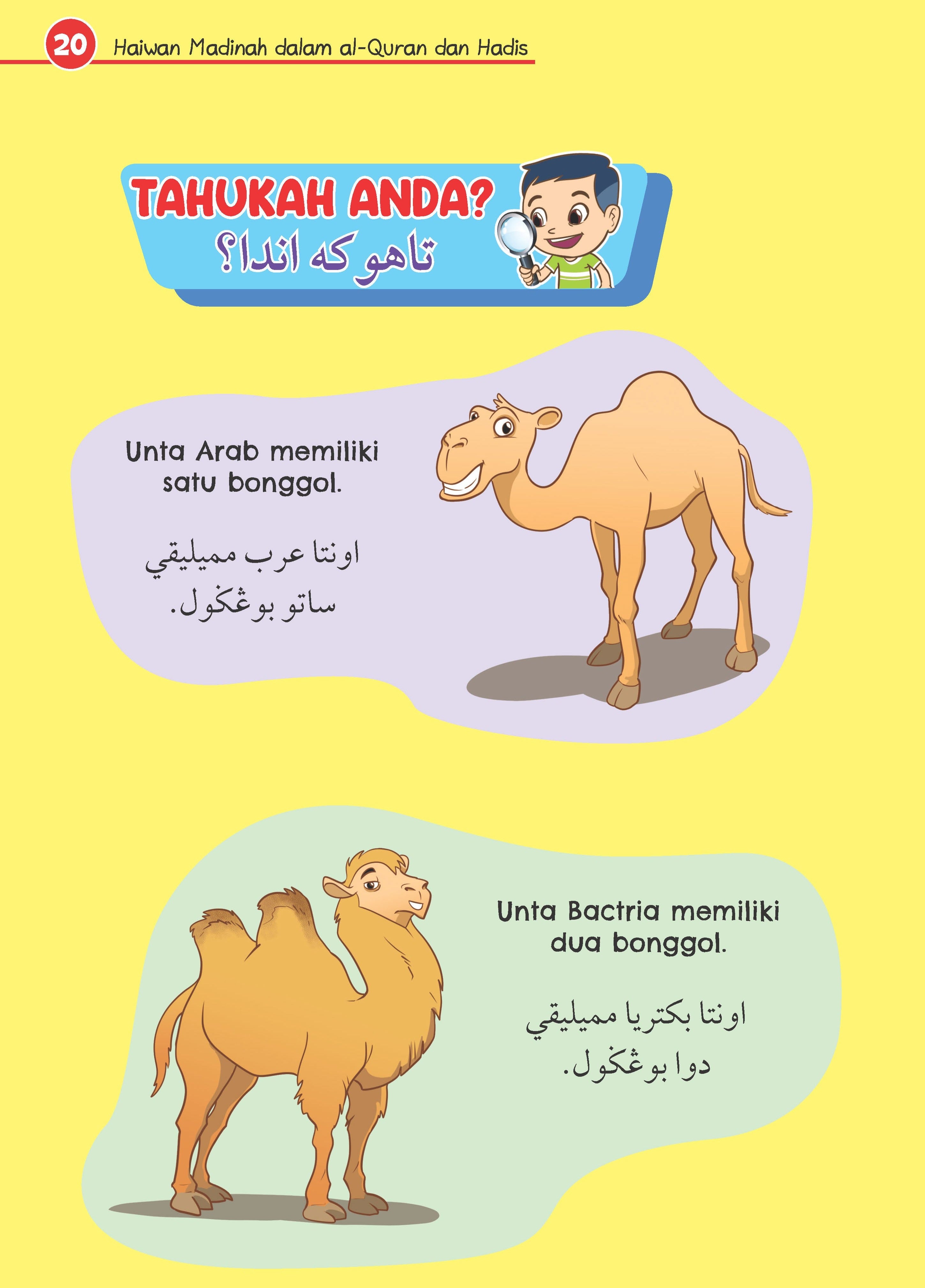 Haiwan Madinah Dalam Al-Quran Dan Hadis - (TBBK1523)