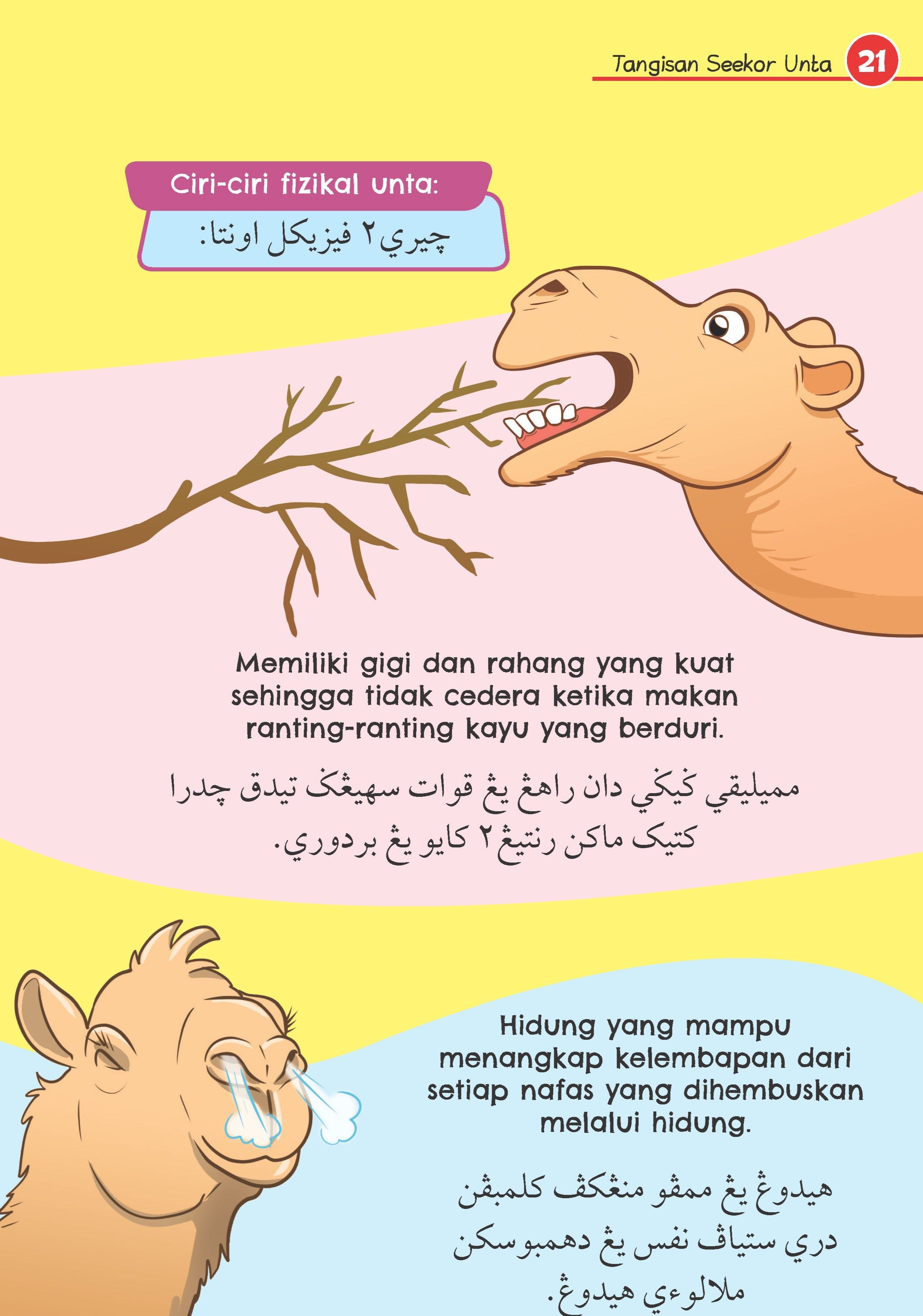 Haiwan Madinah Dalam Al-Quran Dan Hadis - (TBBK1523)