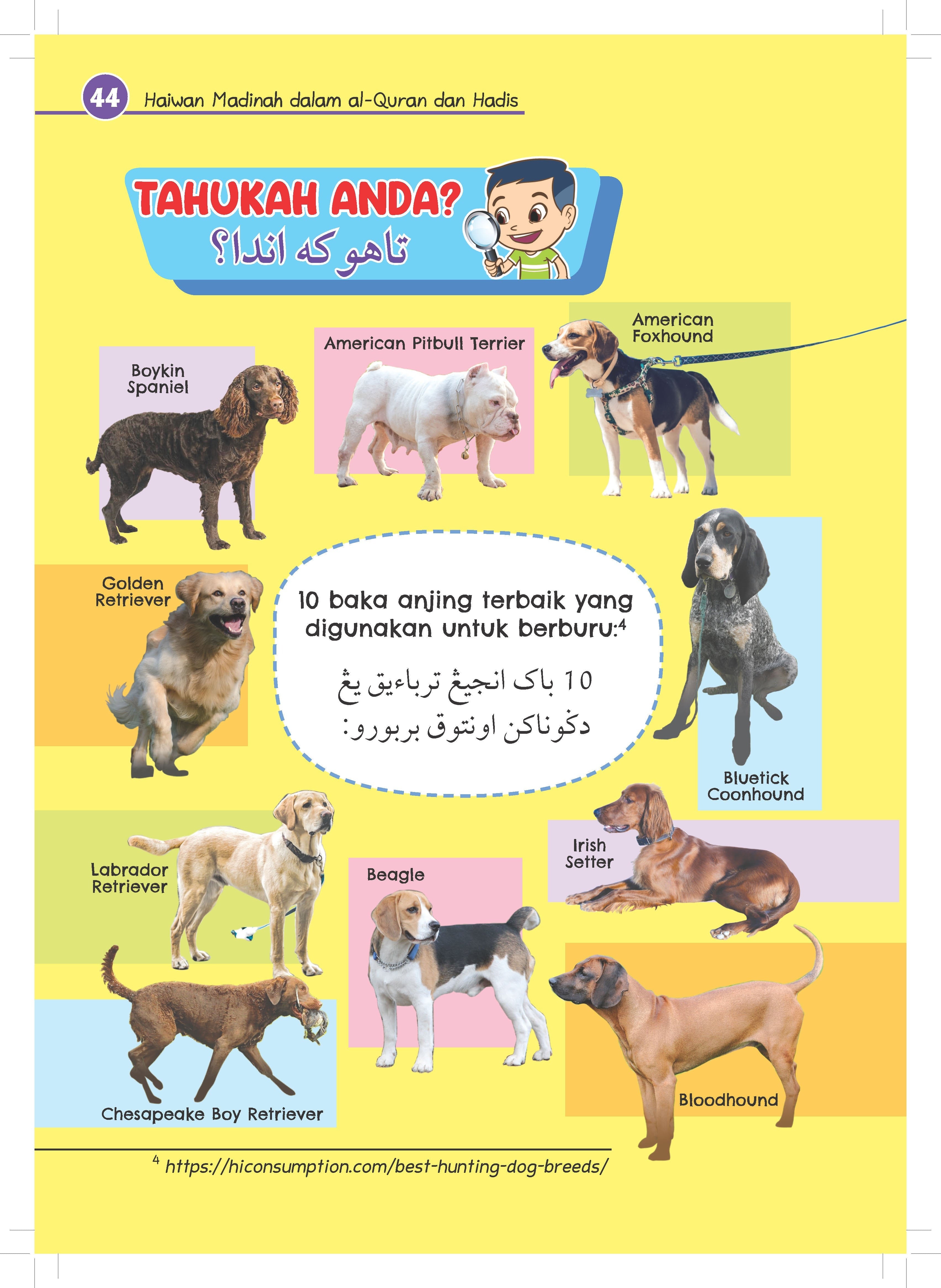 Haiwan Madinah Dalam Al-Quran Dan Hadis - (TBBK1523)