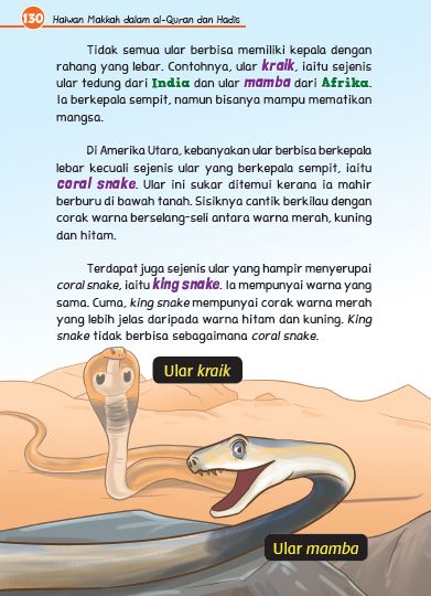 Kombo Kisah Haiwan Dalam Al-Quran