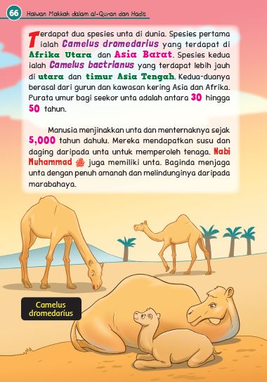 Kisah Haiwan Makkah Dalam Al-Quran & Hadis - (TBBK1502)