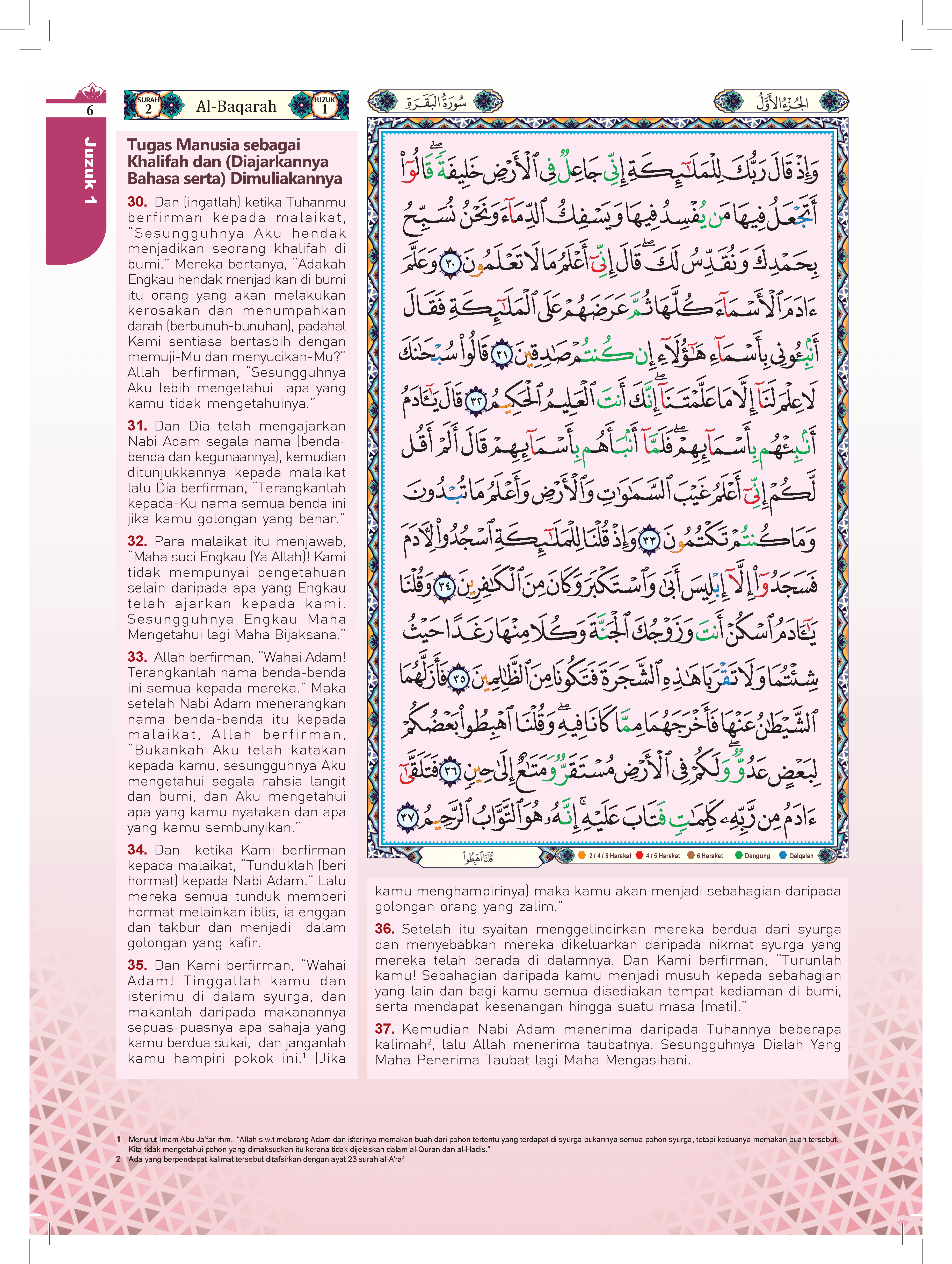 Kombo Pakej Al-Quran Terjemahan Warna Bertema