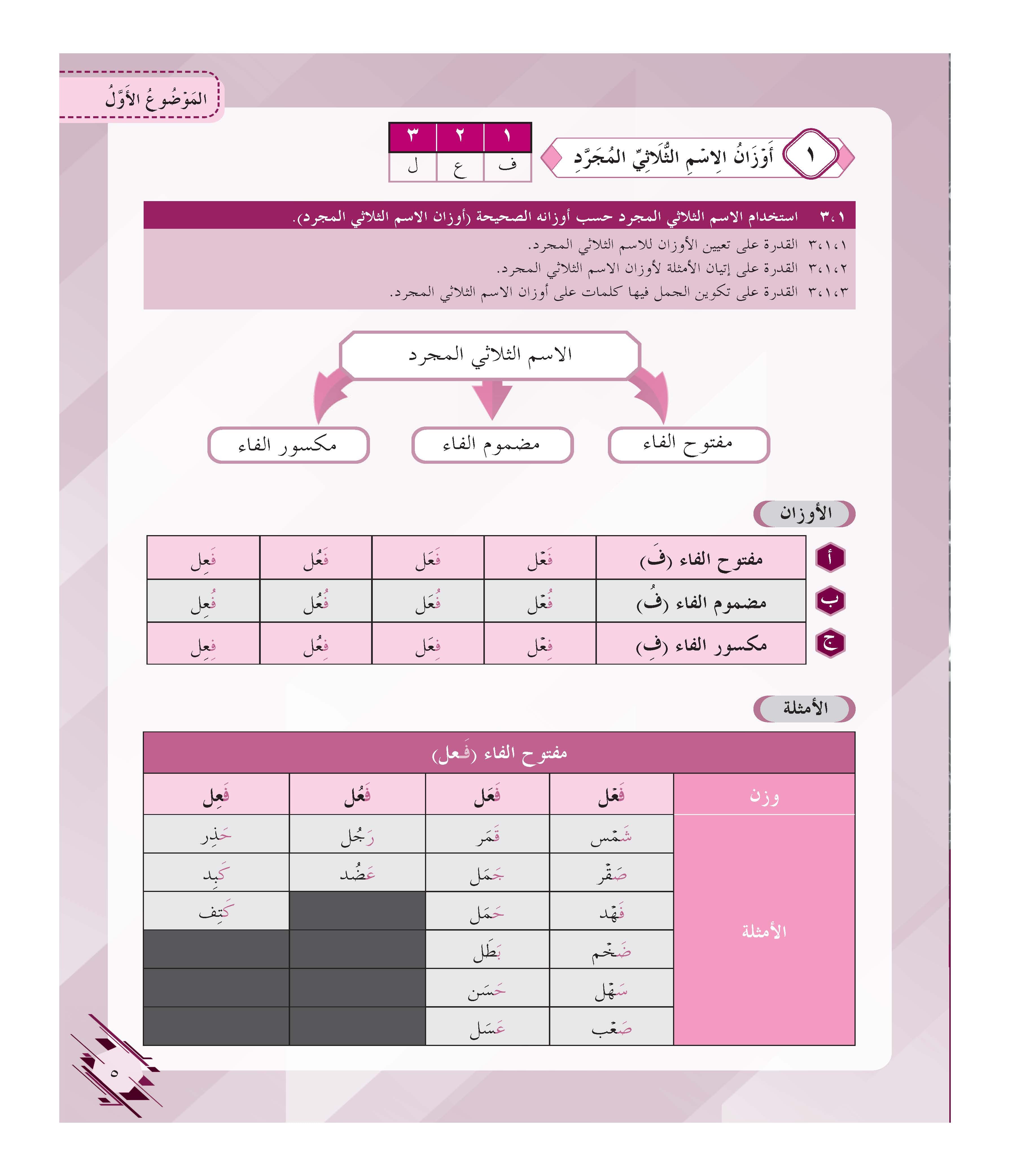 Ular mening mushukimni yirtib tashlashdi Ular mening mushukimni yirtib tashlashdi