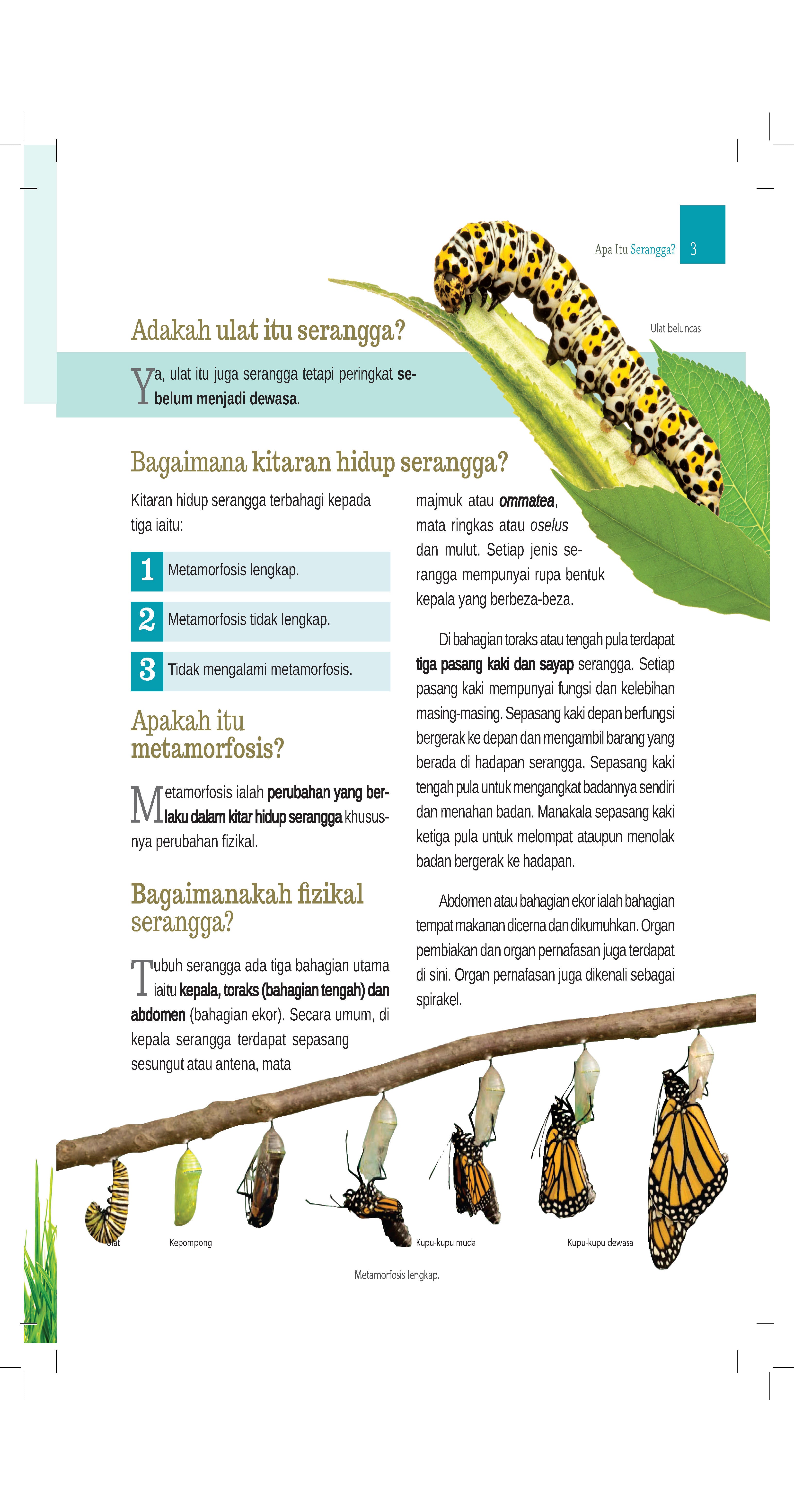 Ensiklopedia Serangga Dalam Al-Quran (Remake) - (TBBK1344A)