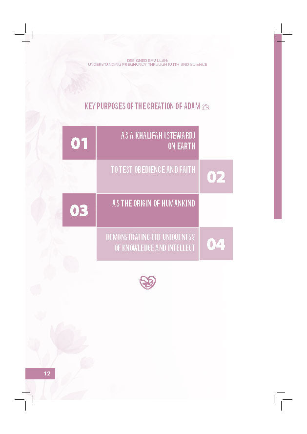 Designed By Allah: Understanding Pregnancy Through Faith And Science - (TBBK1617)