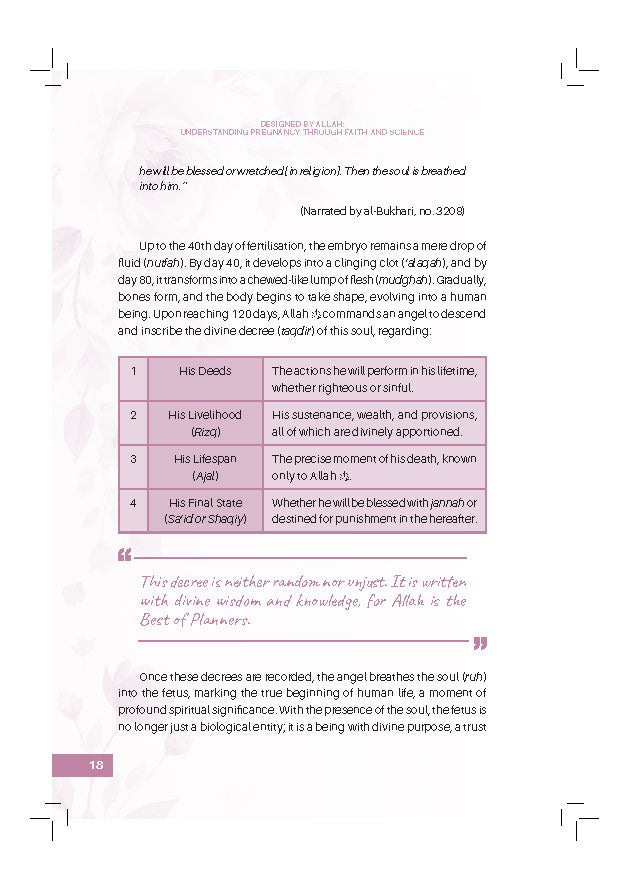 Designed By Allah: Understanding Pregnancy Through Faith And Science - (TBBK1617)