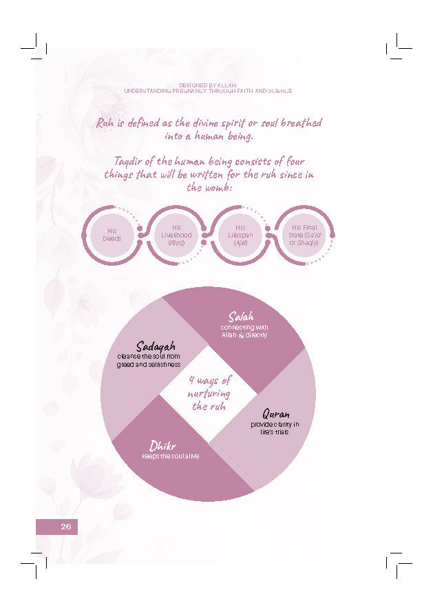 Designed By Allah: Understanding Pregnancy Through Faith And Science - (TBBK1617)