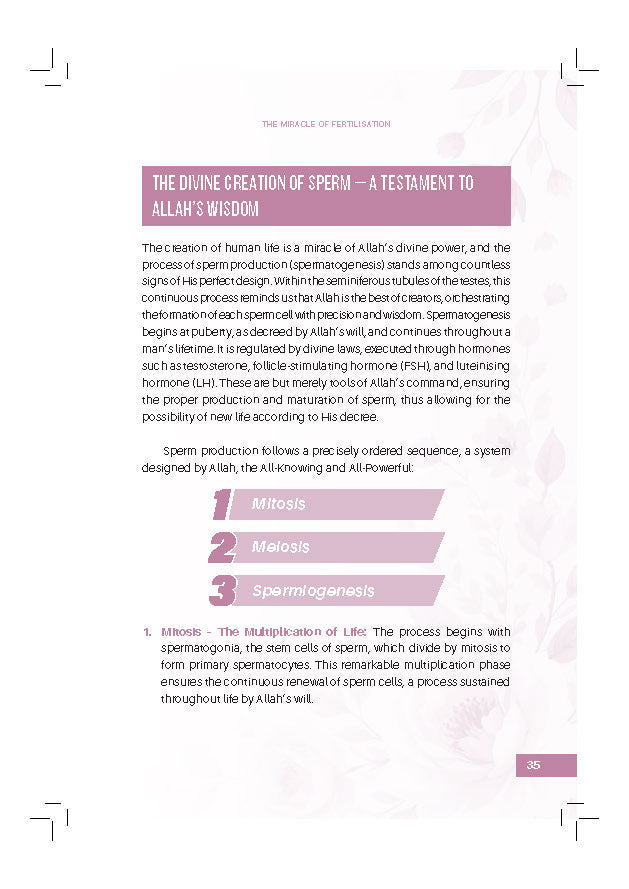 Designed By Allah: Understanding Pregnancy Through Faith And Science - (TBBK1617)