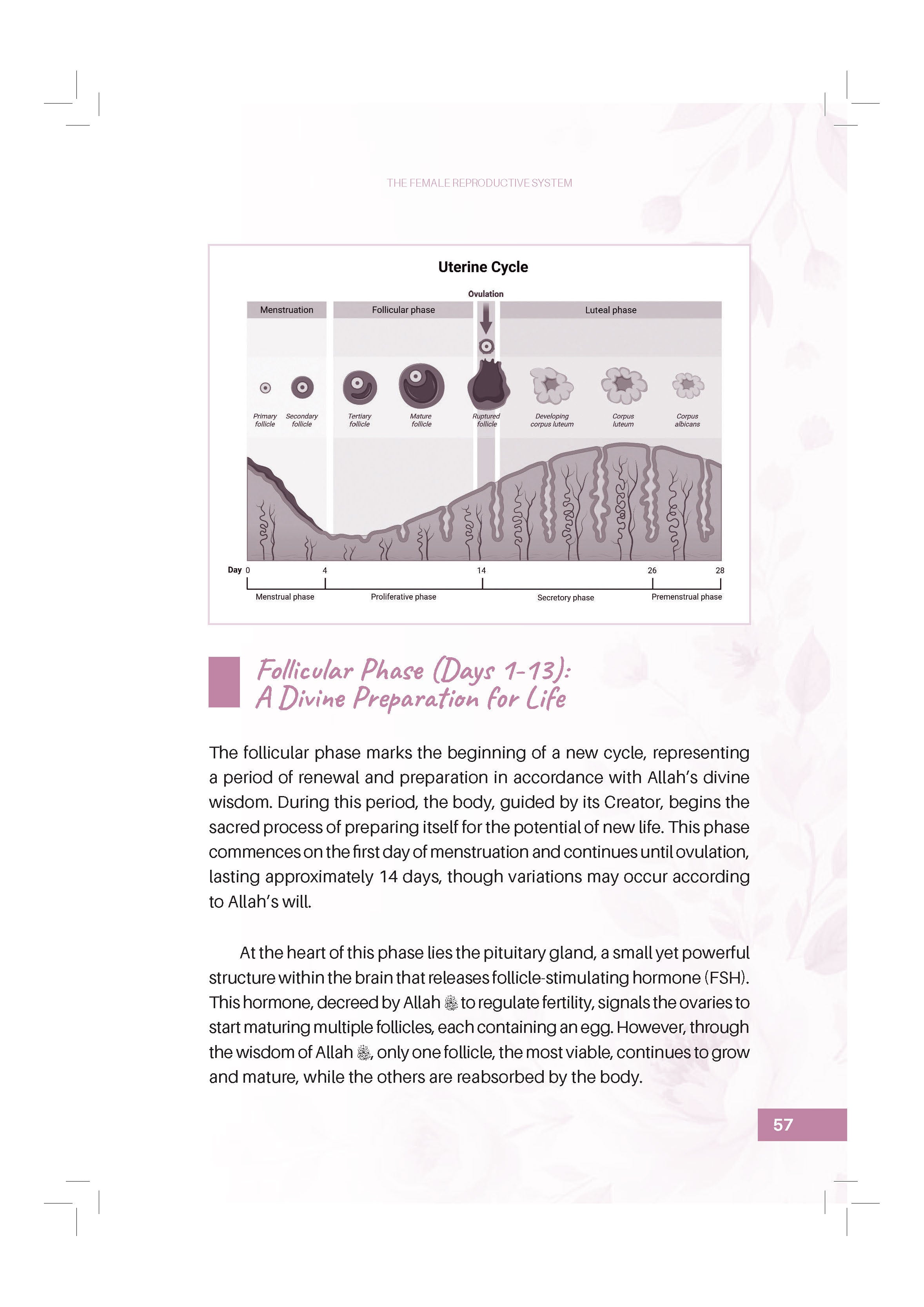Designed By Allah: Understanding Pregnancy Through Faith And Science - (TBBK1617)