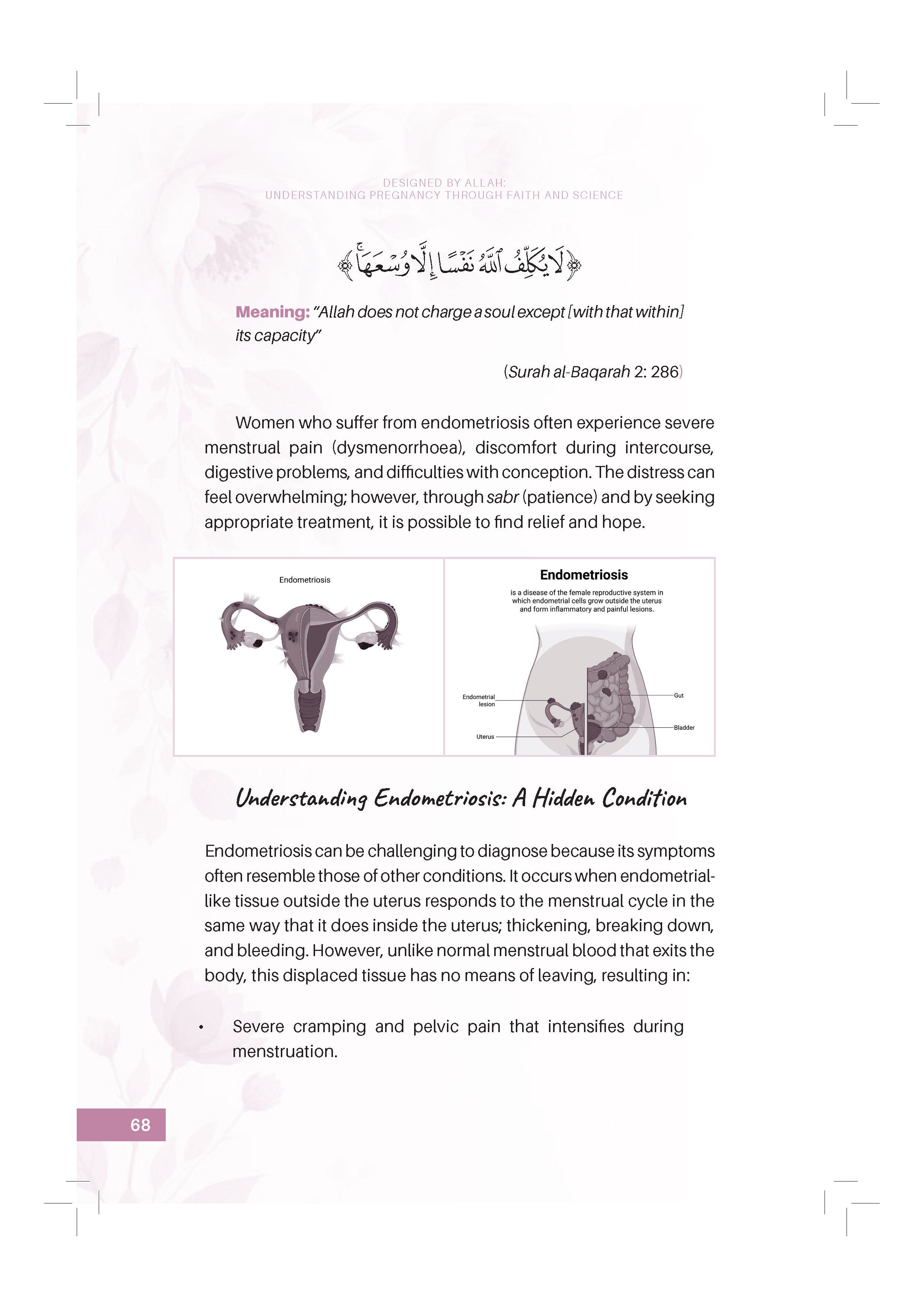 Designed By Allah: Understanding Pregnancy Through Faith And Science - (TBBK1617)