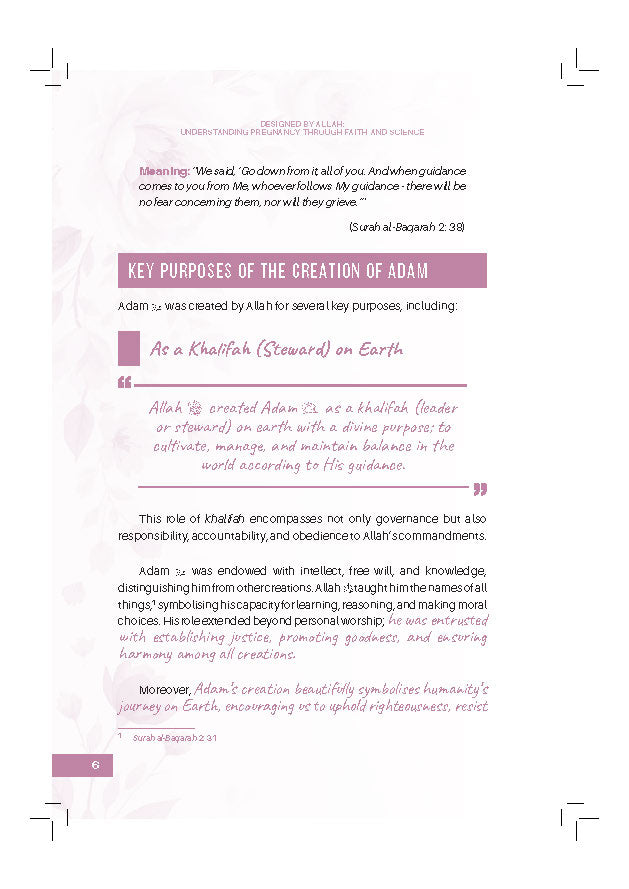 Designed By Allah: Understanding Pregnancy Through Faith And Science - (TBBK1617)