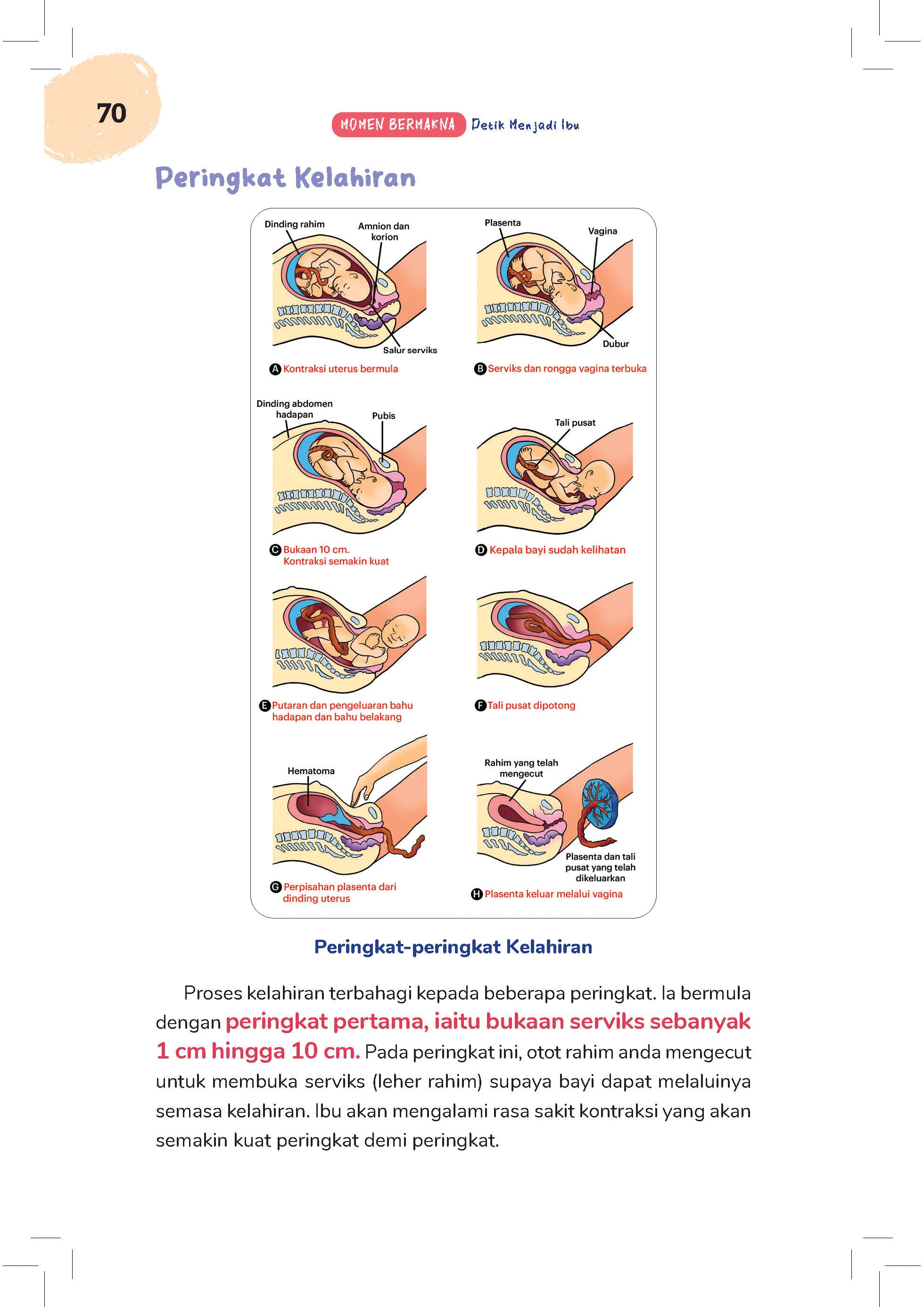 Momen Bermakna Detik Menjadi Ibu - (TBBK1611)