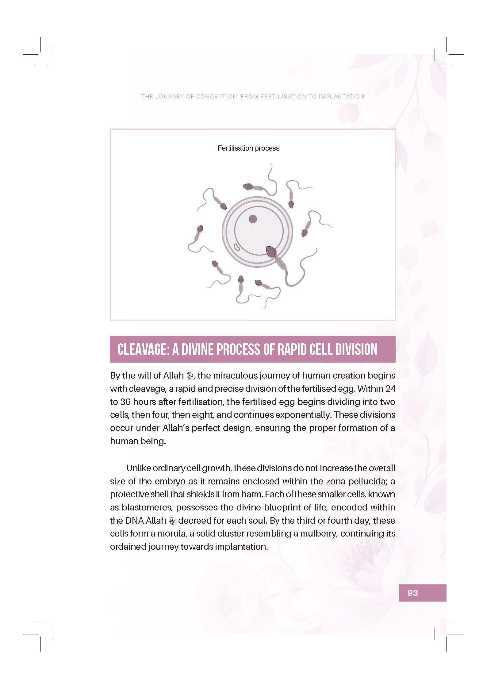 Designed By Allah: Understanding Pregnancy Through Faith And Science - (TBBK1617)