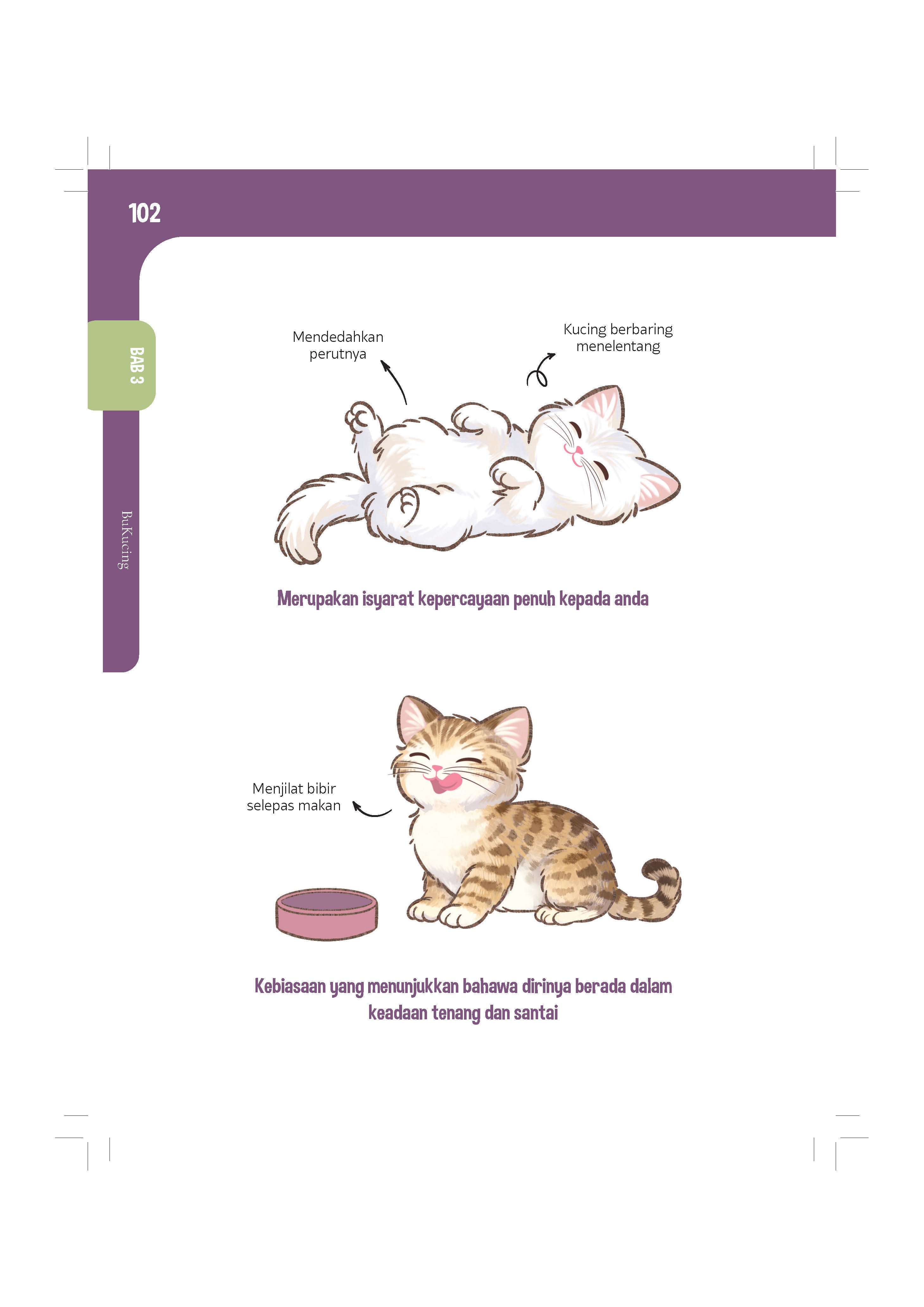 Bukucing - (TBBK1626)