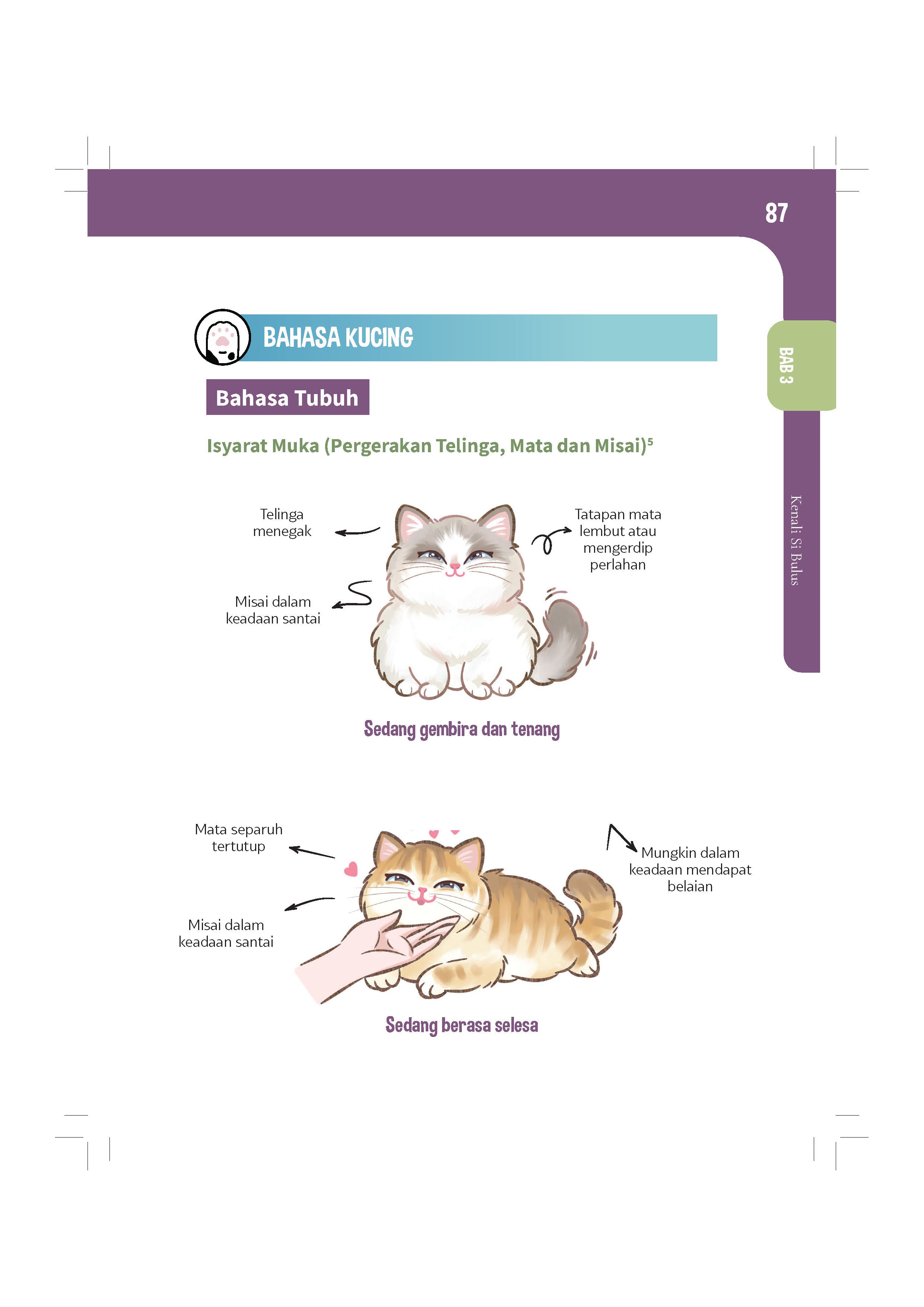 Bukucing - (TBBK1626)