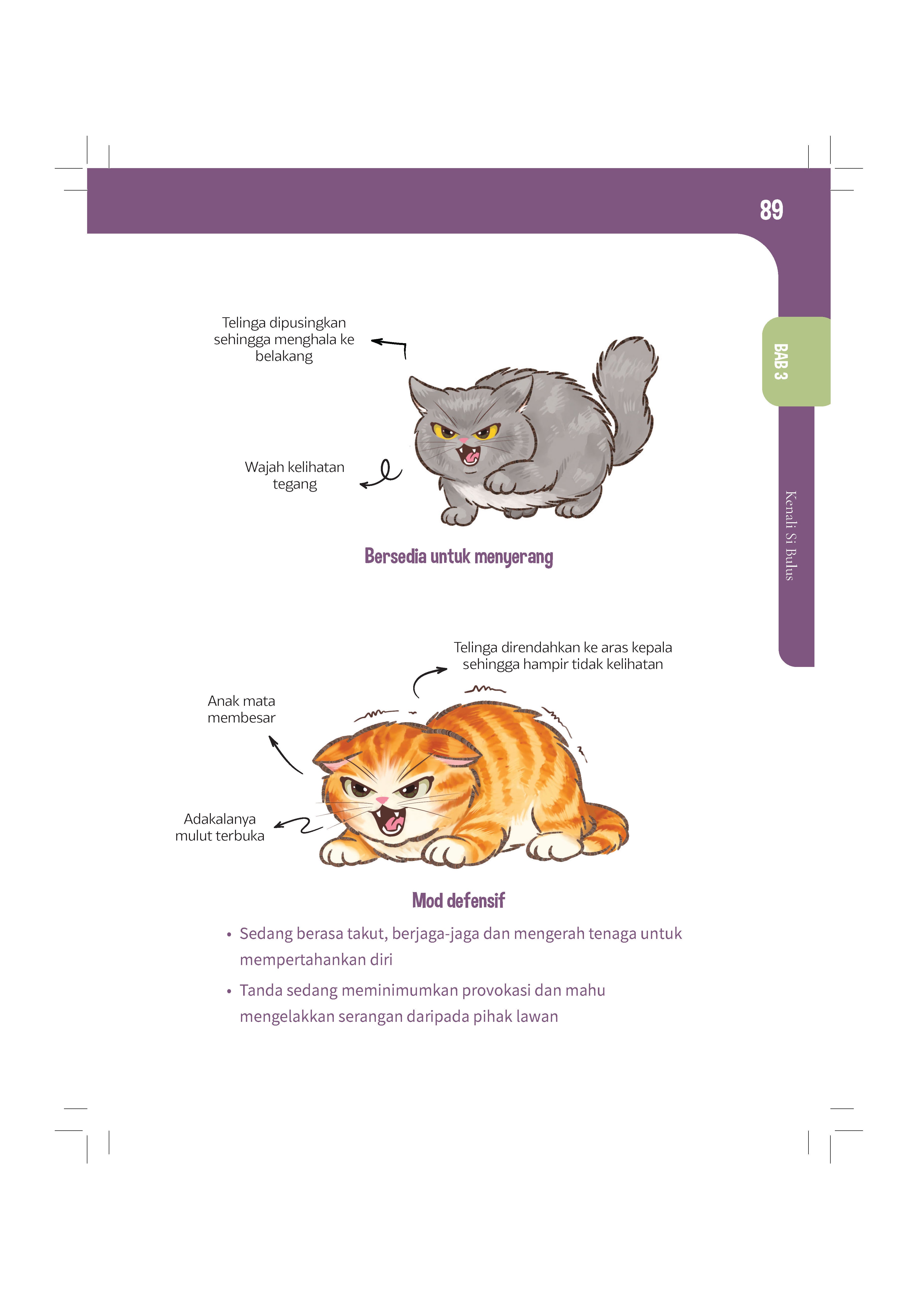 Bukucing - (TBBK1626)