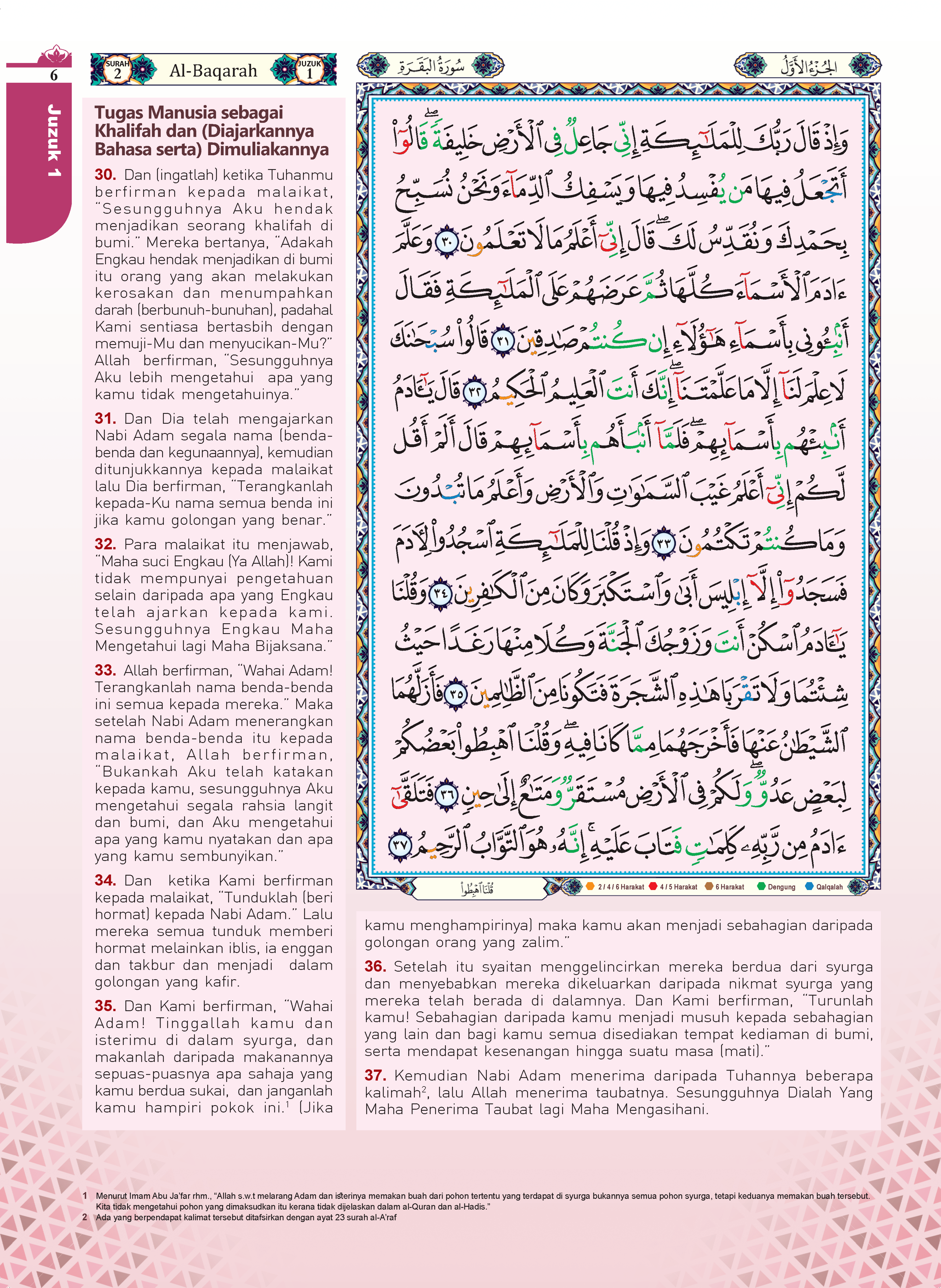 Al-Quran Al-Karim Tajwid & Terjemahan Tematik Dengan Panduan Warna Bertema - (TBAQ1040)