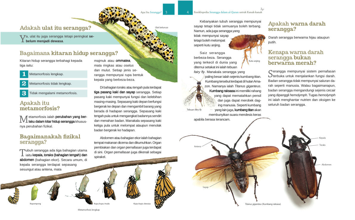 Ensiklopedia Serangga Untuk Kanak-Kanak - (TBBK1344)